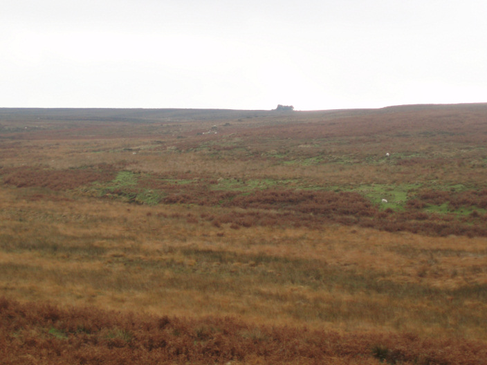 Gibbet Moor Gibbet Moor